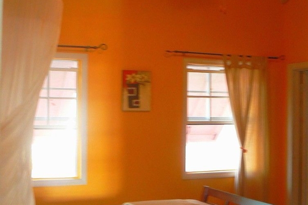 Hotel Donkey on the Beach (Clarence House)